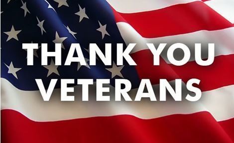 Veterans Day Flag